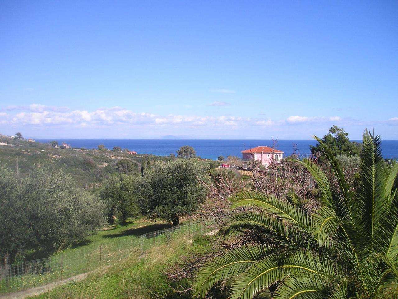 Nikolaos Studios Skala Skala  Exteriör bild