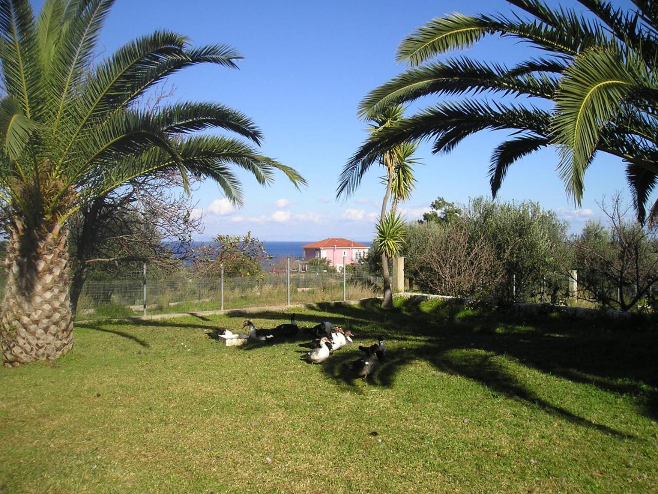 Nikolaos Studios Skala Skala  Exteriör bild